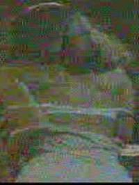 Baleria Hristodoulidou