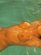 Beatriz Salomon nude 5