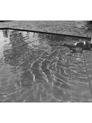 Behati Prinsloo Levine nude 0