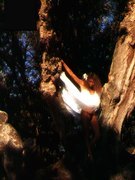 Belinda Meulendijk nude 11