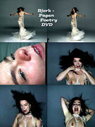 Bjork nude 24