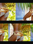 Brooke Burke nude 363