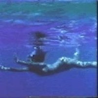 Brooke Shields The Blue Lagoon
