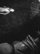 Cailin Russo nude 12