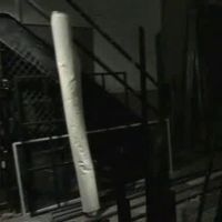 Caitlin Cauchy Videos