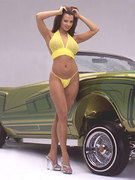 Candice Michelle nude 183