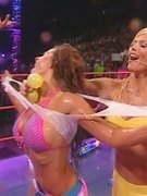 Candice Michelle nude 219