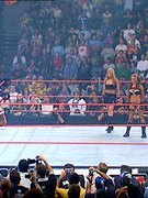 Candice Michelle nude 401