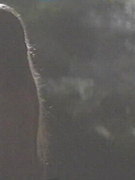 Catherine Mccormack nude 81