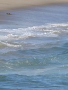 Charlotte McKinney nude 27