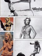 Cheri Caffaro nude 69