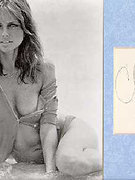Cheryl Tiegs nude 3