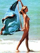 Cheryl Tiegs nude 31