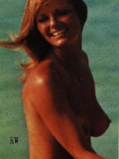 Cheryl Tiegs nude 36