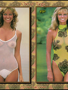 Cheryl Tiegs nude 54