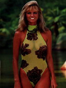 Cheryl Tiegs nude 57