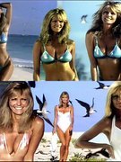 Cheryl Tiegs nude 79