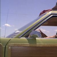 Christie Brinkley Videos