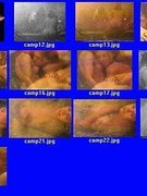 Colleen Camp nude 14