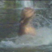 Danielle Brisbois Videos