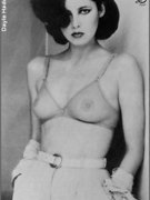Dayle Haddon nude 15