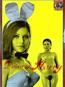 Deborah Harry nude 44