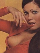 Deborah Shelton nude 9