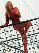 Dian Parkinson nude 58