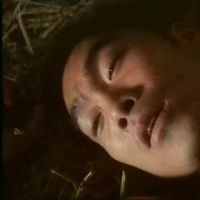 Diana Pang Dan Videos