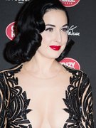 Dita Von Teese nude 14
