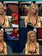 Dolly Buster nude 2