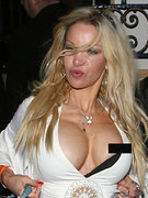 Douvall Alicia nude 29