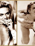 Dyan Cannon nude 0