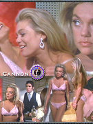 Dyan Cannon nude 1