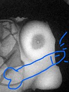 Elise Harritz Hansen nude 2