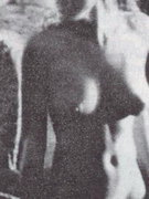 Elizabeth Hurley nude 103