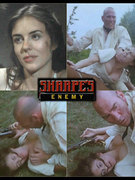 Elizabeth Hurley nude 12