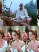 Elizabeth Hurley nude 318