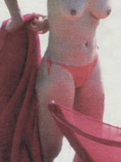 Elizabeth Hurley nude 444