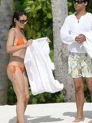 Elizabeth Hurley nude 480