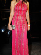 Elizabeth Hurley nude 496