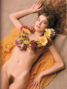 Elli Medeiros nude 5