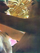 Elsa Martinelli nude 4