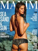 Emily DiDonato nude 11