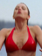 Erica Durance nude 11