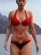 Erica Durance nude 26