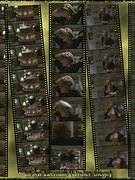 Erika Eleniak nude 140