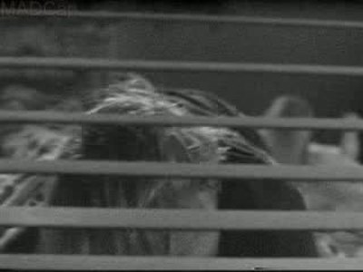 Fairuza Balk Videos