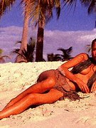 Frederique Van Der Wal nude 40