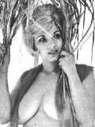 Gayle Conti nude 0